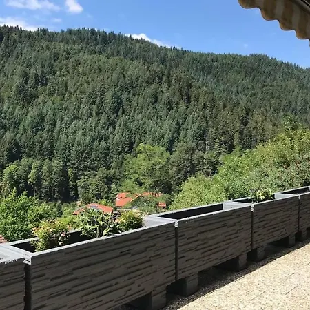 Schwarzwaldblick * Hornberg
