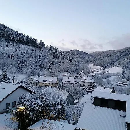 Schwarzwaldblick Πανσιόν