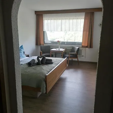 Schwarzwaldblick Hornberg