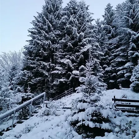 Schwarzwaldblick Hornberg